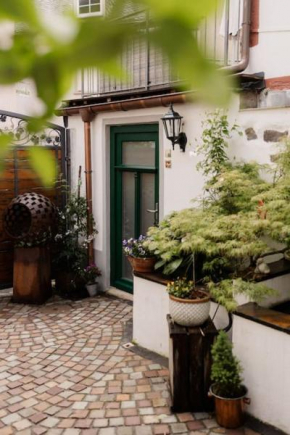 Modernes Tiny House mit Sonnenterrasse